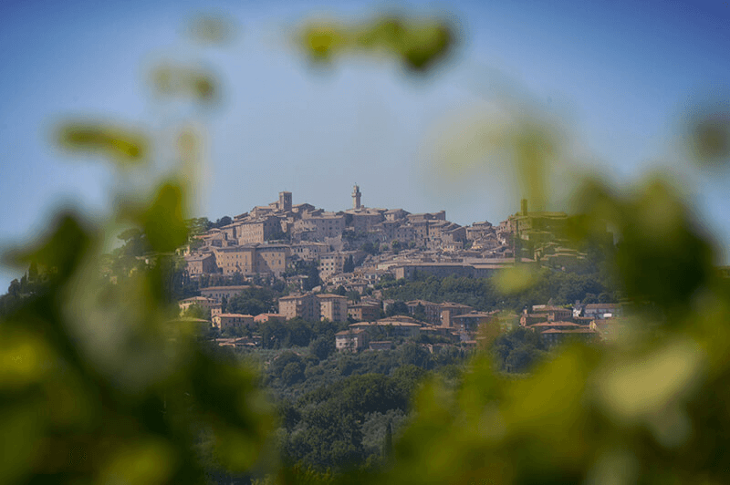 Tenuta Gracciano della Seta, Vino Nobile di Montepulciano